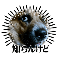 yun_20230319085259