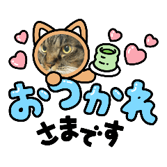 NAO_20230319090139