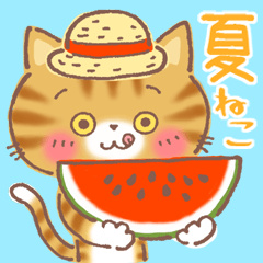 Orange Tabby CAT CHATA in Summer