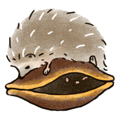 Hedgehog and Dorayaki Daily Greetings