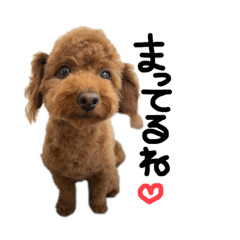 sakura_20230319005659