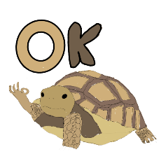 เต่าน่ารักที่สุด