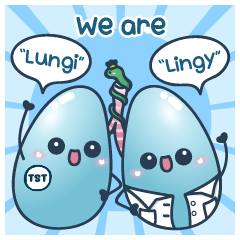 Lungi Lingy_TST