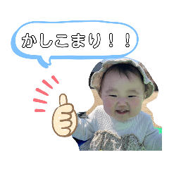 koto_2023