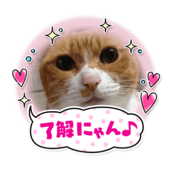 nao_20230319153405