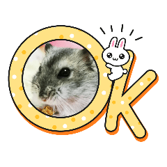 smile_20230319155808