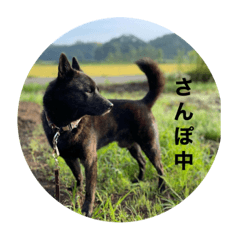 mizuki_20230319163824