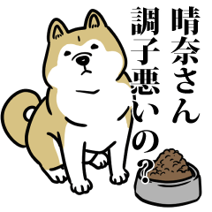 晴奈リスペクト（プラチナ）