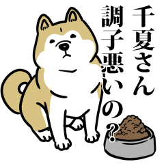 千夏リスペクト（プラチナ）