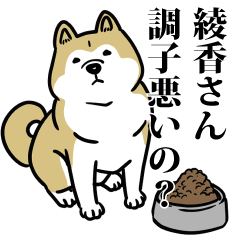 綾香リスペクト（プラチナ）