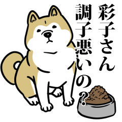 彩子リスペクト（プラチナ）