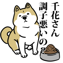 千花リスペクト（プラチナ）
