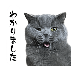 alice_20230319204943