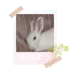 KANA_20230319203956
