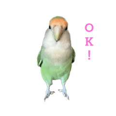 Aoi_20230319210602