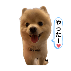 omo_20230319210930