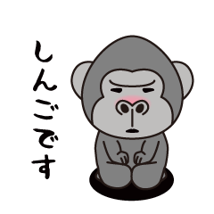 Interesting sticker gorilla(Shingo)