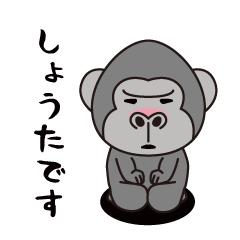 Interesting sticker gorilla(Syouta)