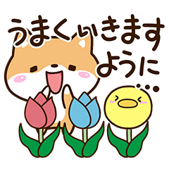 Sticker of Cute Shiba30