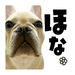 HANA_20230319173525