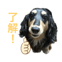 Aoi_20230319214906