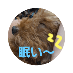 hana_20230319214834