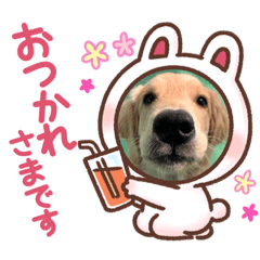 suzu_20230319232014