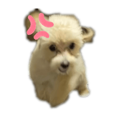 moo_20230320024102