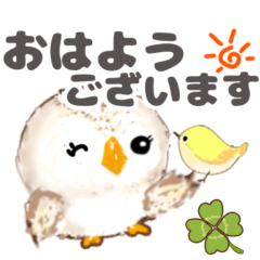 Snowy owl greeting backchannel