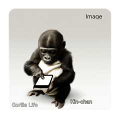 Baby Kin-Chan.   Greater is Gorilla Life