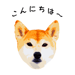 Shiba Inu sticker : 3-Chome Shiba-Machi