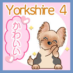 Yorkshire Yorkshire Version4