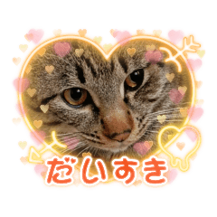 GINNOSUKE and TORANOSUKE cat sticker.