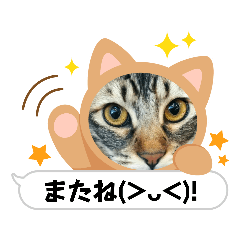 SAKURA_20230320122118