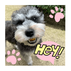 Sakura_20230320201745