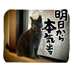 ruru_20230321092744