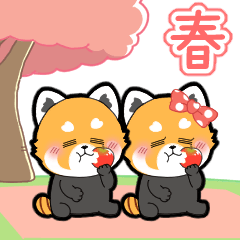[spring] Gressa Panda-chan