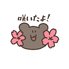 hanami bear-san