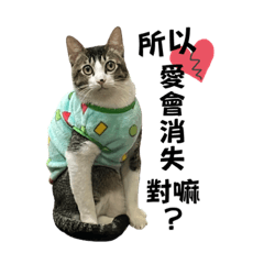 Picon 2彈 調皮搗蛋的小屁貓