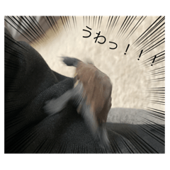 sakura_202303211047161855