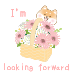 Flower and Shiba Inu sticker(English)