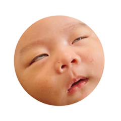 sakura_20230321112159