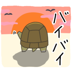 Tortoise Pen-chan 3