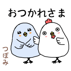 tsubomi the world of birds