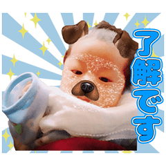 TENSHINOSHOUMAKUN