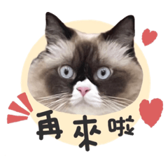 妹妹日常1 ！