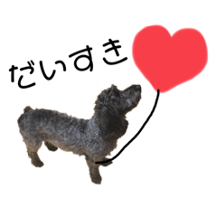 Dappu-dog-daxidoodle – LINE stickers | LINE STORE