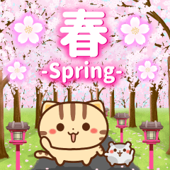 Spring jump out ! Neko-chan Hum-chan