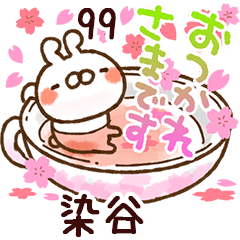 【染谷】専用99<動く★春>