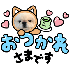 suzu_20230321181404